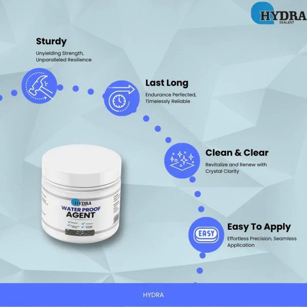 Hydra Anti-Leakage Waterproof Agent With Brush | 100% Original